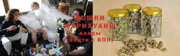 PSILOCYBIN Бугульма