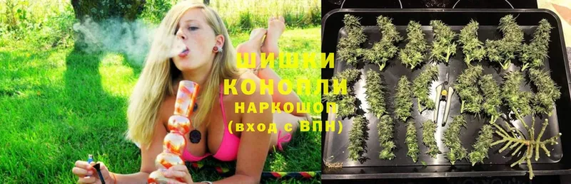 blacksprut как войти  Кола  Канабис LSD WEED 